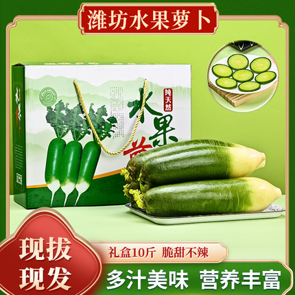 正宗潍坊水果萝卜甜脆水果型潍县沙青新鲜现拔现发生吃脆甜礼盒装