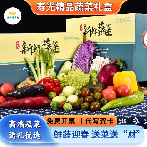 山东寿光特色蔬菜礼盒春节送礼