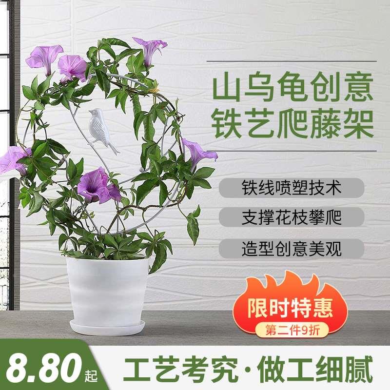 铁艺爬藤攀爬架造型山乌龟雪莹花盆阳台庭院用绿植盆景支架支撑杆