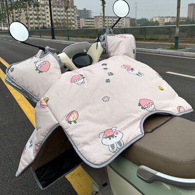 加长特大号挡风被电动车