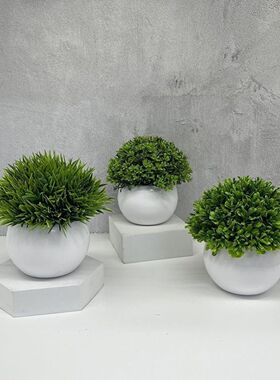 特小迷你盆栽仿真盆景假