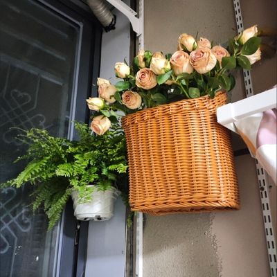 天然气表保护罩防藤编收