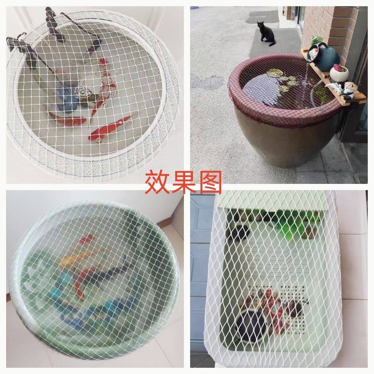 鱼缸内隔离网鱼池塑料箱