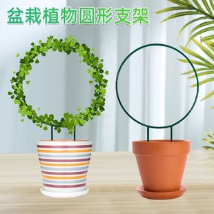 造型花盆架室内心形花架乌龟绿萝爬藤架子绿植攀爬支架圆形造型金