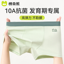 中大童男孩平角裤 儿童内裤 男童纯棉a类青少年发育期初中生四角裤