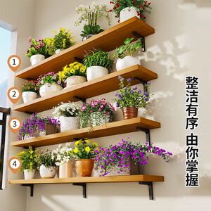 蝴蝶兰墙架墙上花架阳台