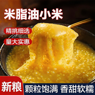 陕西米脂黄小米当季新鲜黄小米农家自产小米颗粒饱满早餐粥小米粥