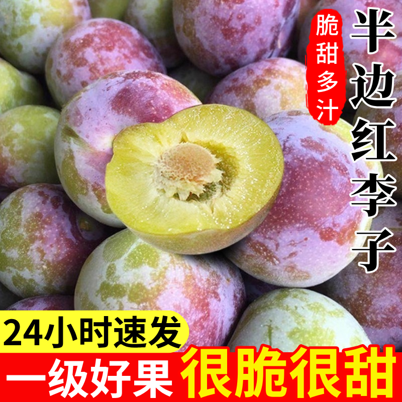 四川脆红李半边红脱骨李子大果脆甜汶川包邮青川应季新鲜孕妇水果