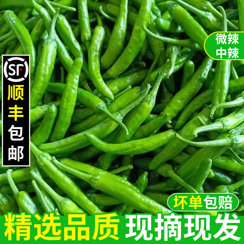 正宗丨樟树港辣椒！顺丰下饭菜