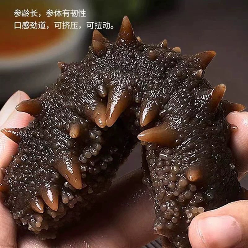 即食海参大连辽宁野生淡干辽参海干品/即食海参