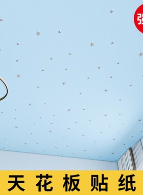 天花板贴纸自粘墙纸防水防潮屋顶吊顶儿童房卧室自装遮丑装饰壁纸