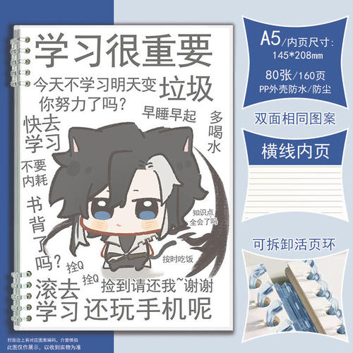 瑶王者荣耀笔记本可爱王昭君杨玉