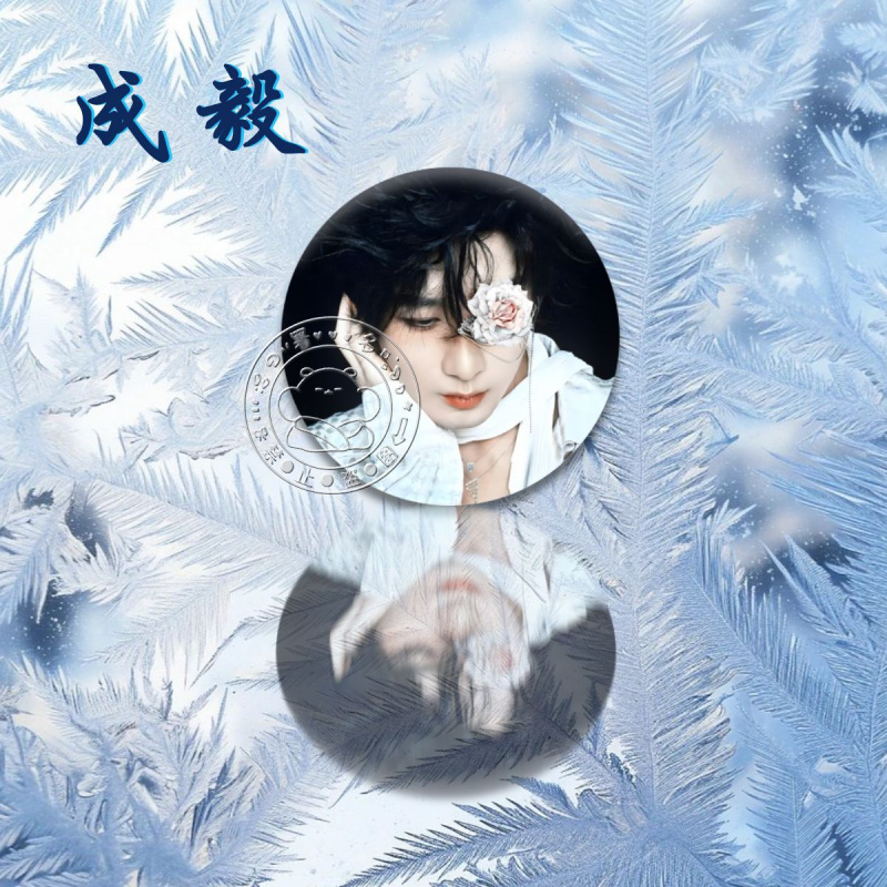 成毅吧唧徽章奇毅果粉丝应援周边