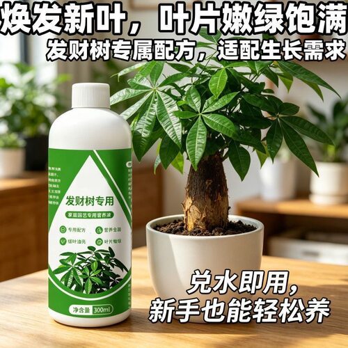 发财树专用营养液肥料水培植物叶