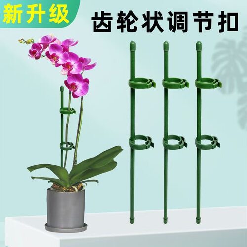 新升级多肉蝴蝶兰专用花架支架植