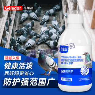 格莱德鸽役九联抗信鸽赛鸽苗腺病毒鸽瘟沙门氏肠道养鸽常备非鸽药