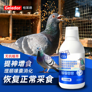 格莱德信鸽赛鸽公棚用圆轮腺特号