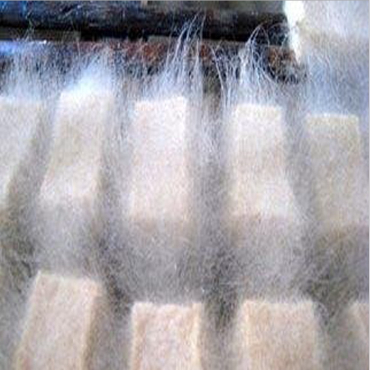 毛豆腐菌豆腐乳臭豆腐菌粉50g 曲粉白毛霉菌粉霉千张红豆腐豆渣粉