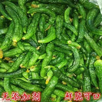 东北特产 小黄瓜咸菜 泡菜原料 盐渍腌制脆黄瓜农家 散装 包邮