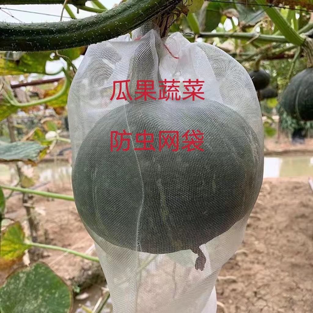 西瓜防虫袋加密蝇套袋葡