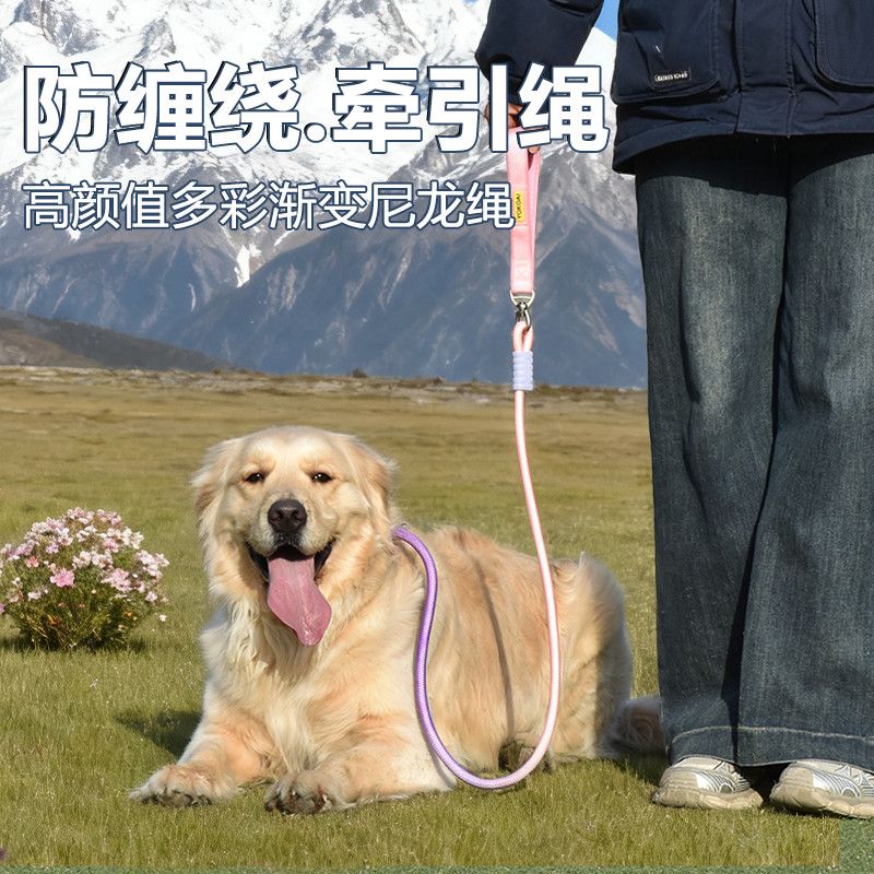 网红小狗牵引绳渐变色子