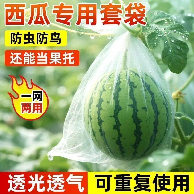 西瓜防虫袋自带抽绳水果