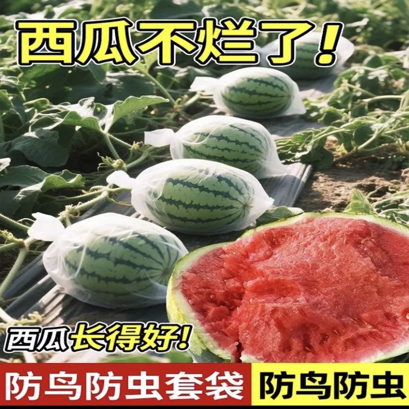 西瓜防虫袋鸟防果蝇专用
