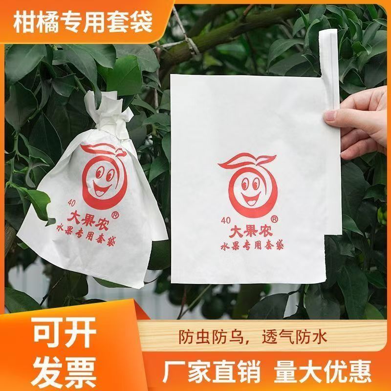 套果专用袋柑橘桔子春见