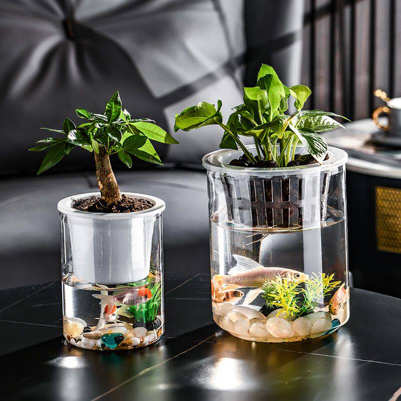 水培植物专用瓶创意水培瓶植物透明塑料花瓶容器绿萝花盆鱼花共养