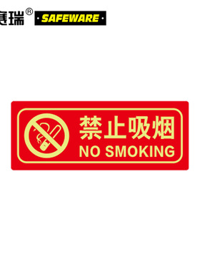 安赛瑞 经济型自发光标识 10片装 消防安全标识贴 14×36cm 21636