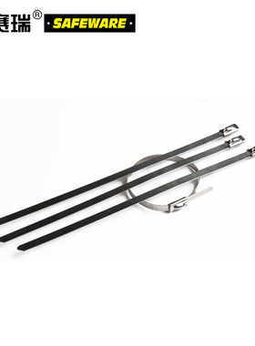 安赛瑞 不锈钢扎带（100根装）4.6×300mm 304不锈钢自锁式13853