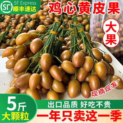 广东鸡心黄皮果现摘5斤速发