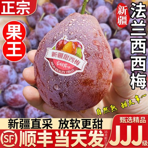 【顺丰速达】新疆法兰西西梅鲜果