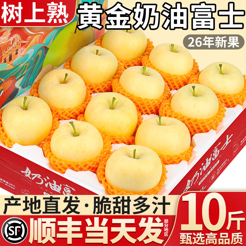 顺丰黄金奶油富士苹果现摘图片