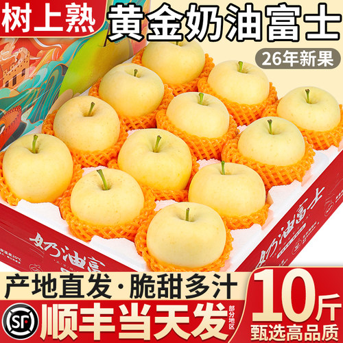 顺丰黄金奶油富士苹果现摘