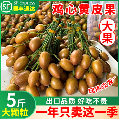 顺丰 广东鸡心黄皮果新鲜5斤冰糖当季现摘酸甜黄弹子水果孕包邮