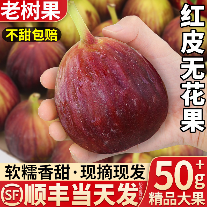 顺丰大果 红皮无花果新鲜水果5斤现摘当季特级鲜果整箱包邮