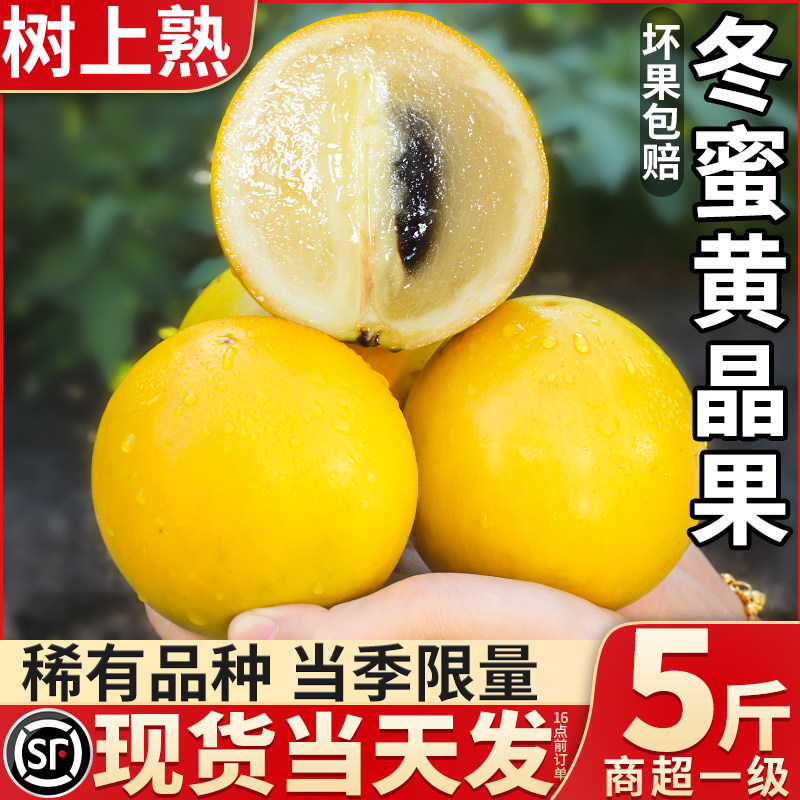 顺丰速达冬蜜黄晶果罕见惜有