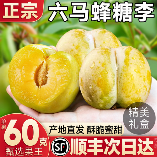 空运礼盒装正宗贵州六马蜂糖李