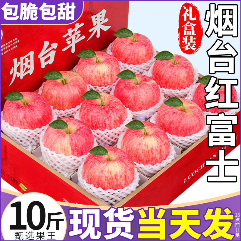 正宗山东烟台红富士苹果新鲜水果当季冰糖心栖霞平果10斤礼盒整箱