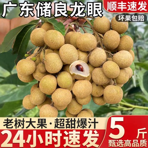 顺丰锁鲜老树储良龙眼现摘现发
