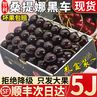顺丰空运智利桑提娜车厘子5斤4J新鲜水果当季进口大樱桃整箱包邮