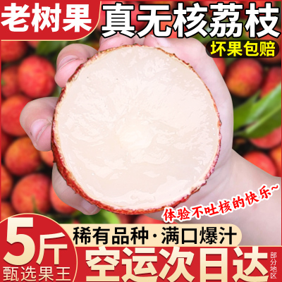 顺丰次日达丨海南无核荔枝新鲜