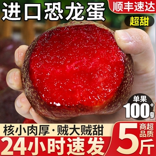 智利凤凰李进口恐龙蛋5斤李子新鲜水果血丝红心布林孕妇整箱包邮