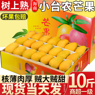 【树上熟】海南小台农芒果新鲜10斤当季水果大果鸡蛋芒整箱包邮9