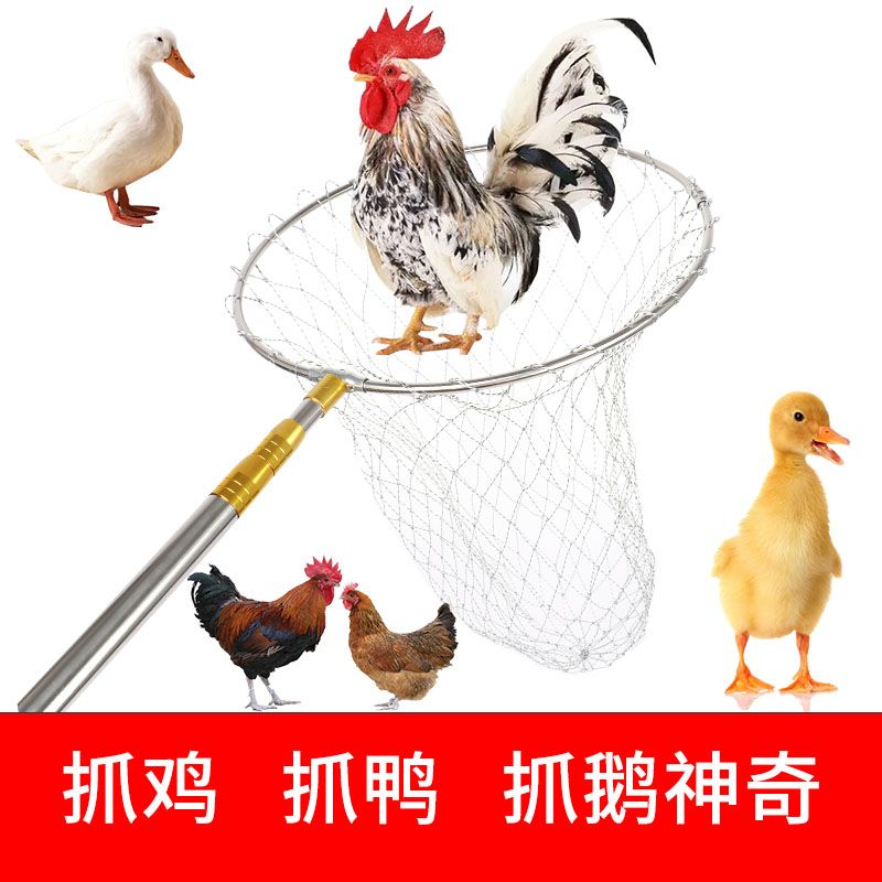 新款抓鸡神器网兜伸缩杆
