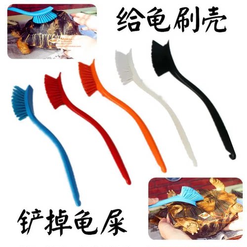 鱼缸专用清洁刷陆龟美容