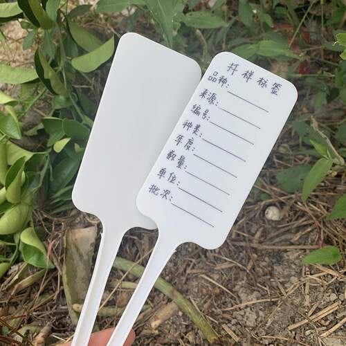 加厚高牌面插牌园艺花卉牌家庭植物标签盆栽记号牌简约田园标记