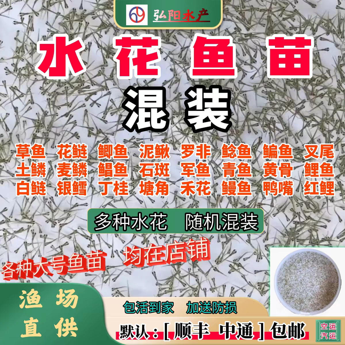 草鱼花鲢鲤鱼青鱼鲫鱼黄辣丁武昌鳜鱼翘嘴银鳕青龙棒胭脂青竹水花