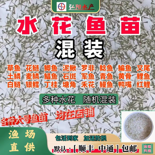 草鱼花鲢鲤鱼青鱼鲫鱼黄辣丁武昌鳜鱼翘嘴银鳕青龙棒胭脂青竹水花